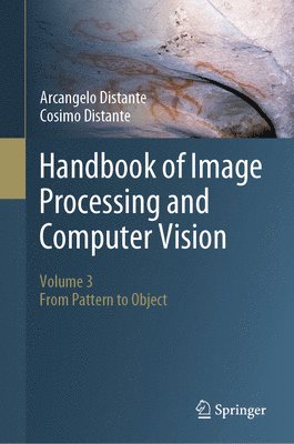 bokomslag Handbook of Image Processing and Computer Vision