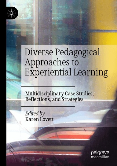 Karen Lovett - Diverse Pedagogical Approaches to Experiential Learning, Häftad