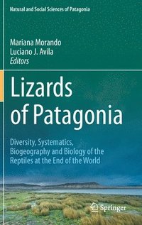 bokomslag Lizards of Patagonia