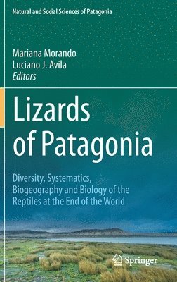 Lizards of Patagonia