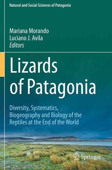 bokomslag Lizards of Patagonia