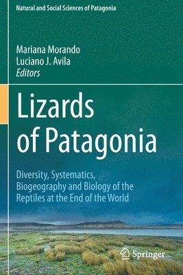 Lizards of Patagonia 1