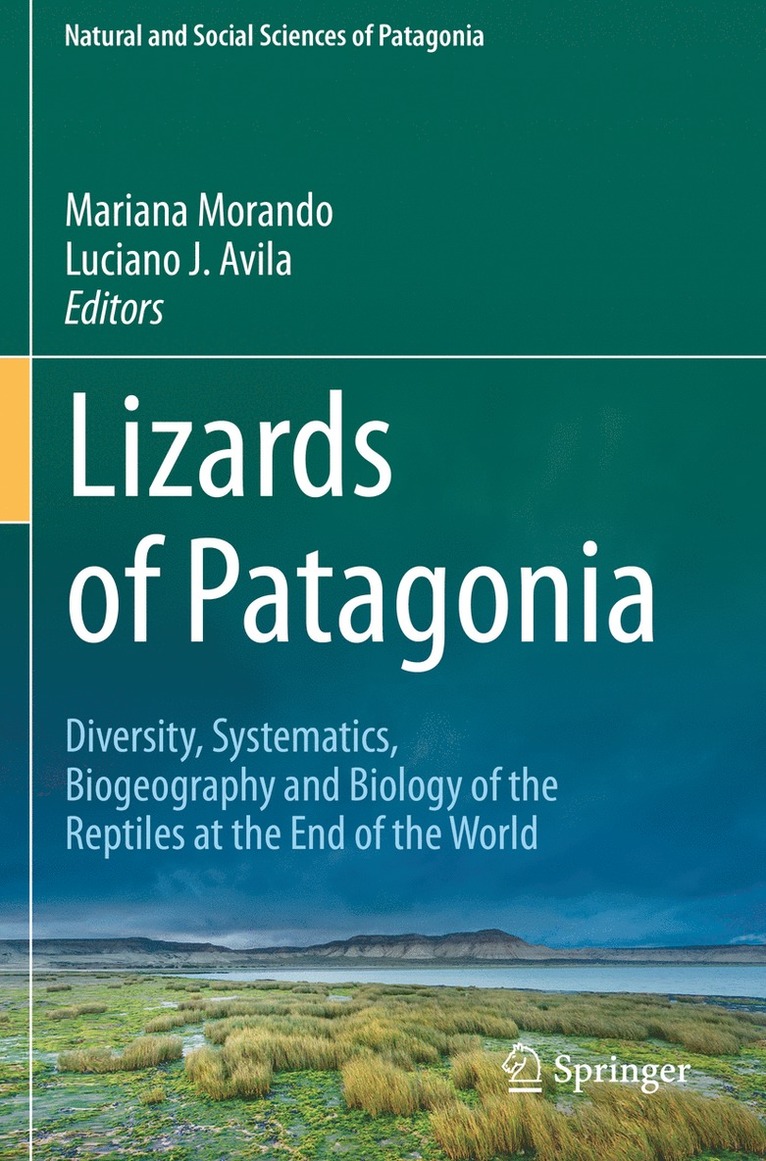 Mariana Morando, Luciano J. Avila - Lizards of Patagonia, Häftad