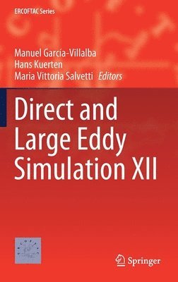 bokomslag Direct and Large Eddy Simulation XII