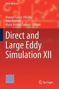 bokomslag Direct and Large Eddy Simulation XII