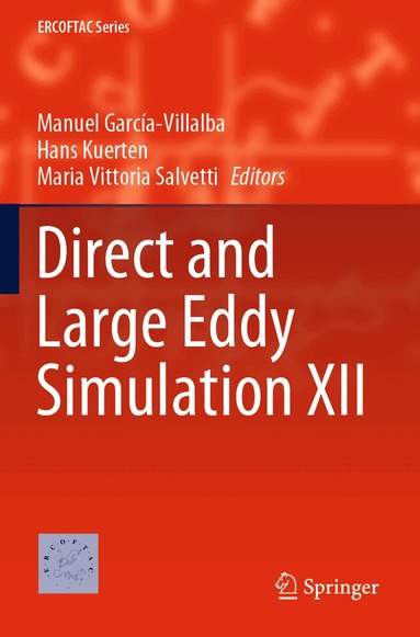 Manuel García-Villalba, Hans Kuerten, Maria Vittoria Salvetti - Direct and Large Eddy Simulation XII, Häftad