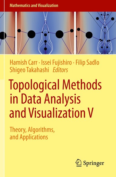Hamish Carr, Issei Fujishiro, Filip Sadlo, Shigeo Takahashi - Topological Methods in Data Analysis and Visualization V, Häftad