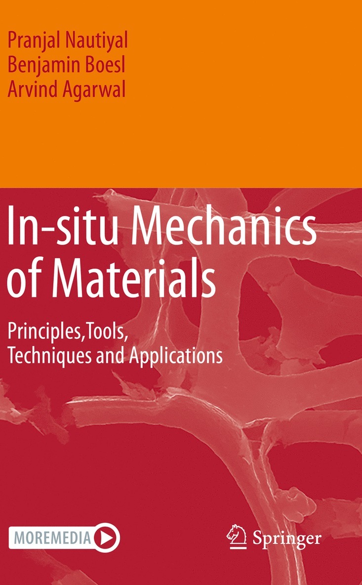 Pranjal Nautiyal, Benjamin Boesl, Arvind Agarwal - In-situ Mechanics of Materials, Häftad