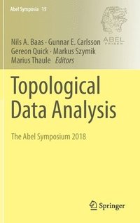 bokomslag Topological Data Analysis