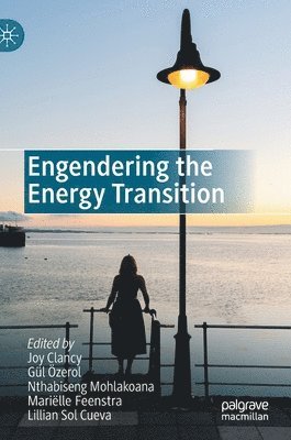 bokomslag Engendering the Energy Transition