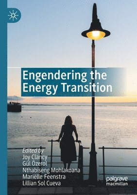 bokomslag Engendering the Energy Transition