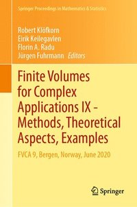 bokomslag Finite Volumes for Complex Applications IX - Methods, Theoretical Aspects, Examples