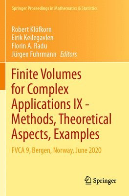bokomslag Finite Volumes for Complex Applications IX - Methods, Theoretical Aspects, Examples