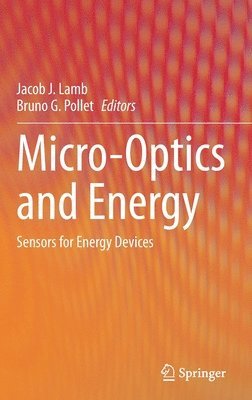 bokomslag Micro-Optics and Energy