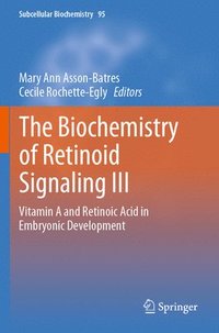 bokomslag The Biochemistry of Retinoid Signaling III