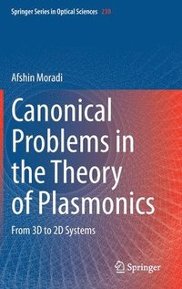 bokomslag Canonical Problems in the Theory of Plasmonics