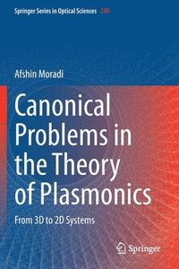 bokomslag Canonical Problems in the Theory of Plasmonics