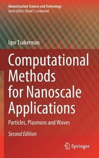 bokomslag Computational Methods for Nanoscale Applications