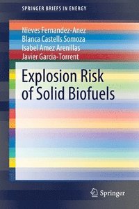 bokomslag Explosion Risk of Solid Biofuels
