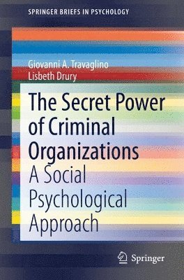 bokomslag Secret Power of Criminal Organizations