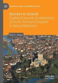 bokomslag Barriers to Growth