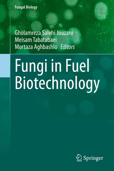 Gholamreza Salehi Jouzani, Meisam Tabatabaei, Mortaza Aghbashlo - Fungi in Fuel Biotechnology, Inbunden