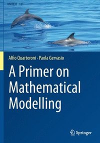 bokomslag A Primer on Mathematical Modelling