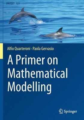 A Primer on Mathematical Modelling 1