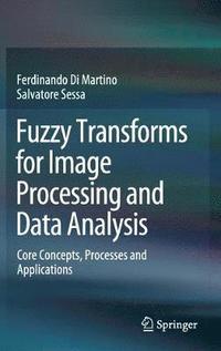 bokomslag Fuzzy Transforms for Image Processing and Data Analysis