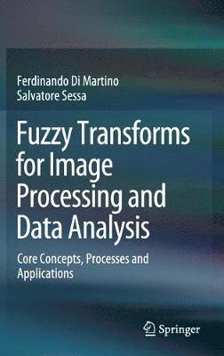 bokomslag Fuzzy Transforms for Image Processing and Data Analysis