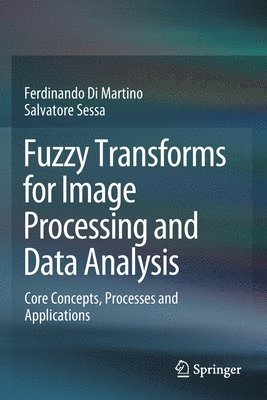 Fuzzy Transforms for Image Processing and Data Analysis 1