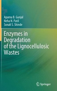 bokomslag Enzymes in Degradation of the Lignocellulosic Wastes