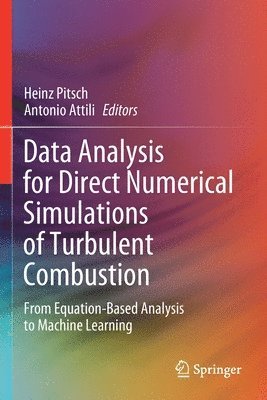 Heinz Pitsch, Antonio Attili - Data Analysis for Direct Numerical Simulations of Turbulent Combustion, Häftad