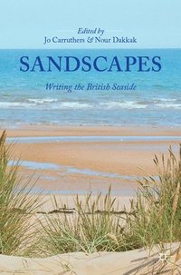 bokomslag Sandscapes
