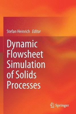 Stefan Heinrich - Dynamic Flowsheet Simulation of Solids Processes, Häftad