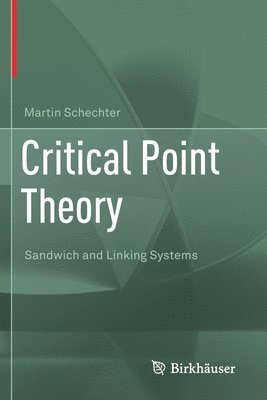 bokomslag Critical Point Theory