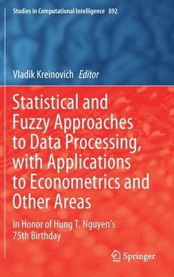 bokomslag Statistical and Fuzzy Approaches to Data Processing, with Applications to Econometrics and Other Areas