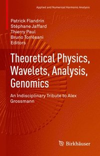 bokomslag Theoretical Physics, Wavelets, Analysis, Genomics