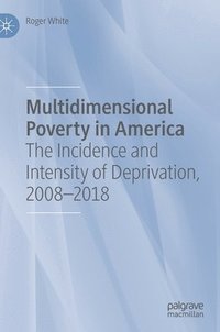 bokomslag Multidimensional Poverty in America