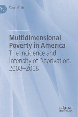 bokomslag Multidimensional Poverty in America