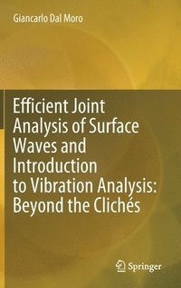bokomslag Efficient Joint Analysis of Surface Waves and Introduction to Vibration Analysis: Beyond the Clichs