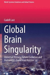 bokomslag Global Brain Singularity