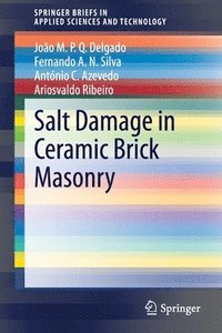 bokomslag Salt Damage in Ceramic Brick Masonry