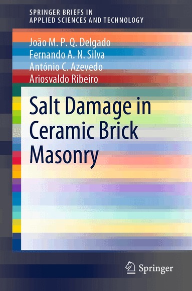 João M.P.Q. Delgado, Fernando A.N. Silva, António C. Azevedo, Ariosvaldo Ribeiro - Salt Damage in Ceramic Brick Masonry, Häftad
