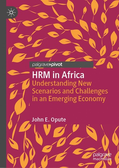 bokomslag HRM in Africa