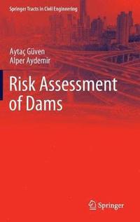 bokomslag Risk Assessment of Dams