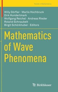 bokomslag Mathematics of Wave Phenomena