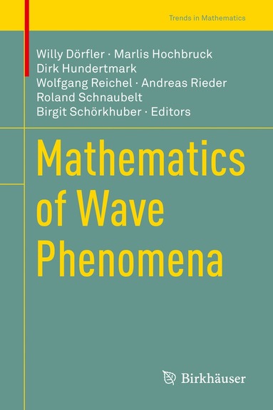 Willy Dörfler, Marlis Hochbruck, Dirk Hundertmark, Wolfgang Reichel, Andreas Rieder, Roland Schnaubelt, Birgit Schörkhuber - Mathematics of Wave Phenomena, Inbunden
