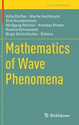 Mathematics of Wave Phenomena 1