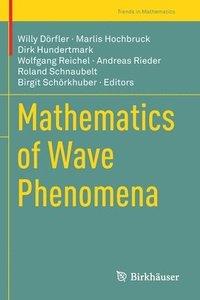 bokomslag Mathematics of Wave Phenomena